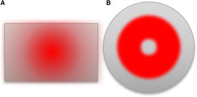 Spin and orbital angular momentum of coherent photons in a waveguide